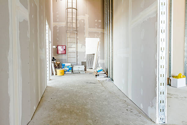 Best Water-Damaged Drywall Repair  in Addison, IL